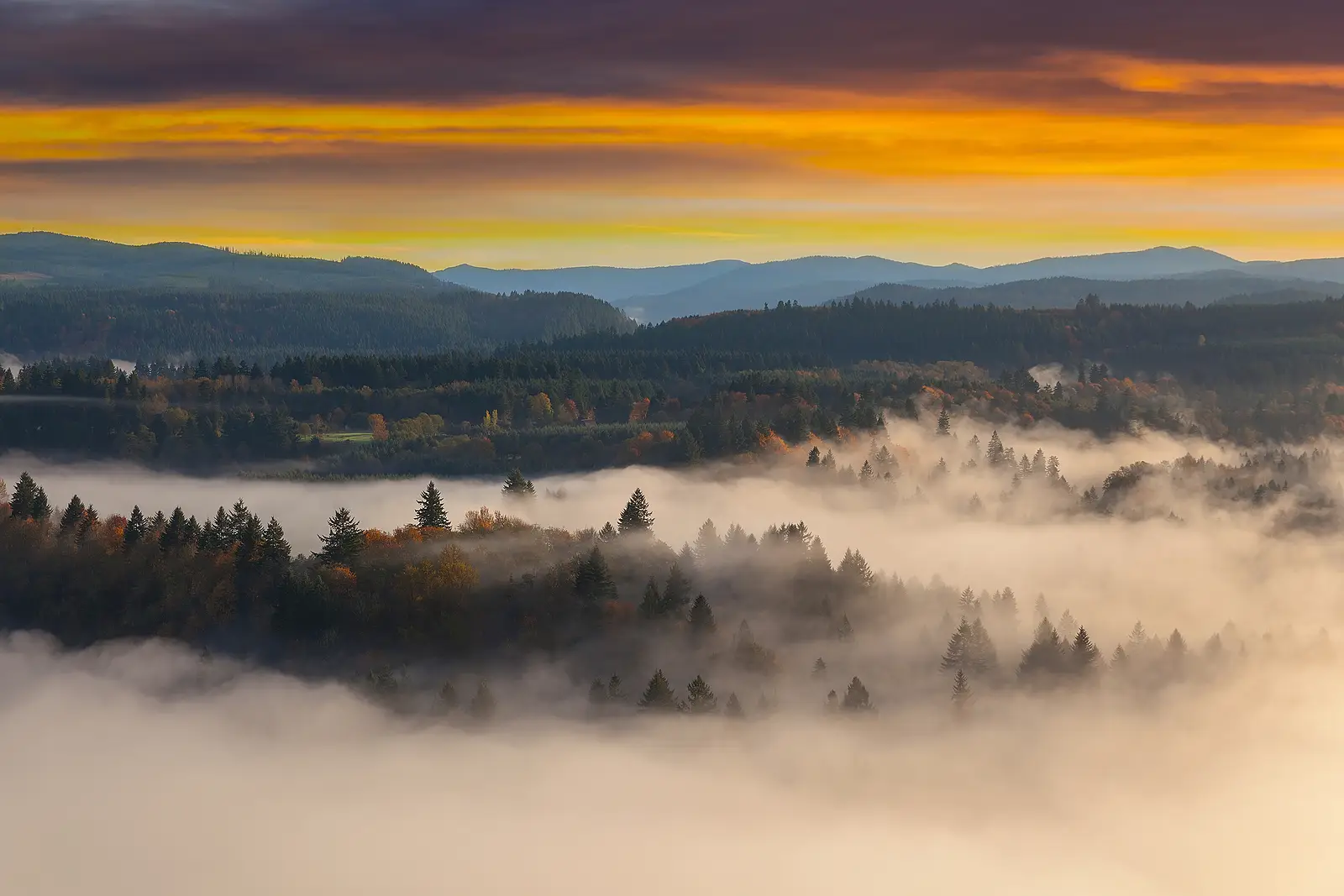 Maximize Your Gatlinburg Vacation Rental: Expert Hosting Tips